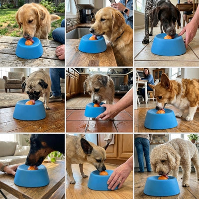 Herleys™ Lick & Roll Bowl